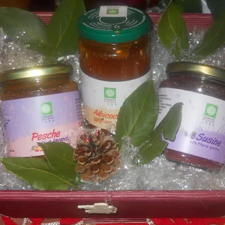 Kır Evi Podere Diamante Levizzano Rangone