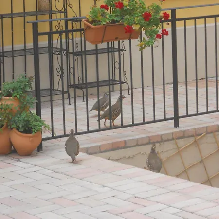 Lantställe Podere Diamante Levizzano Rangone