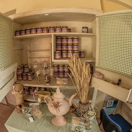 Lantställe Podere Diamante Levizzano Rangone