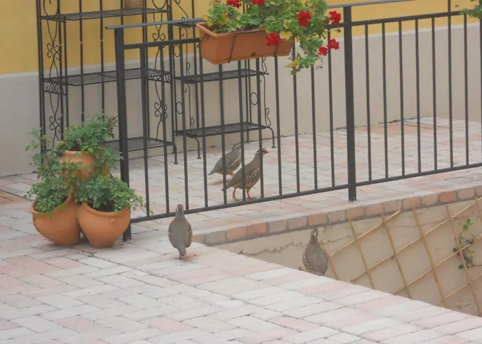 Летний дом Podere Diamante Levizzano Rangone